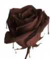 /products/flor-de-chocolate-negro/